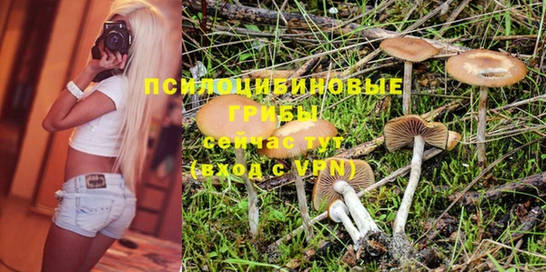 ПСИЛОЦИБИНОВЫЕ ГРИБЫ Навашино