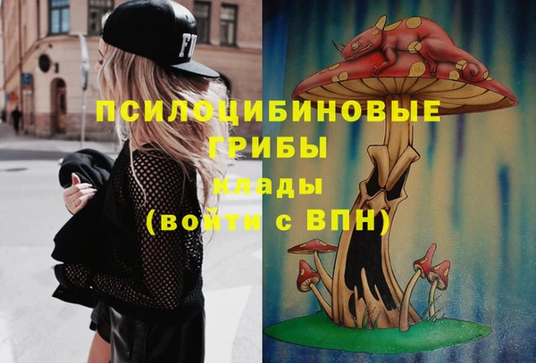 ПСИЛОЦИБИНОВЫЕ ГРИБЫ Навашино