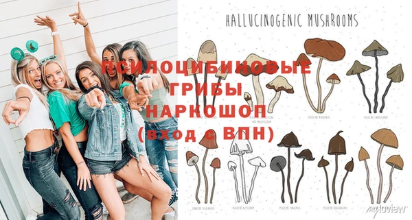 амф Михайлов