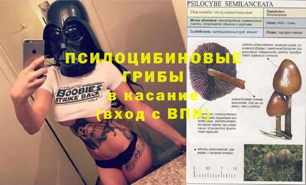 мяу мяу мука Наволоки