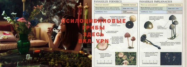 бошки Михайловка
